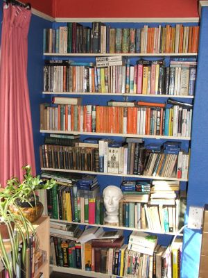 Our main bookshelves